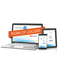 Everything DiSC® Work of Leaders® Profile